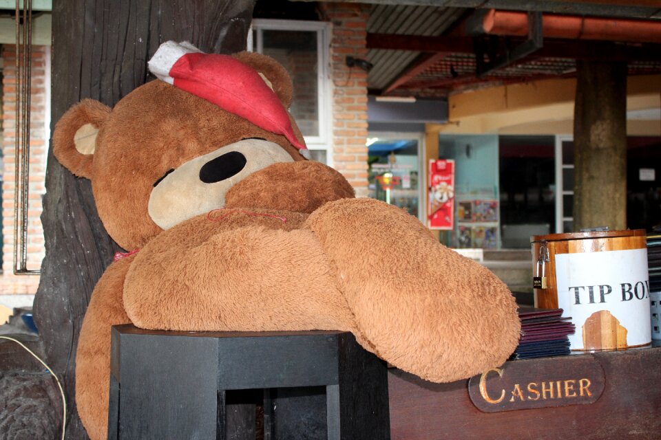 Teddy christmas cap