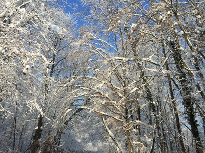 Park maksimir zagreb january outdoor