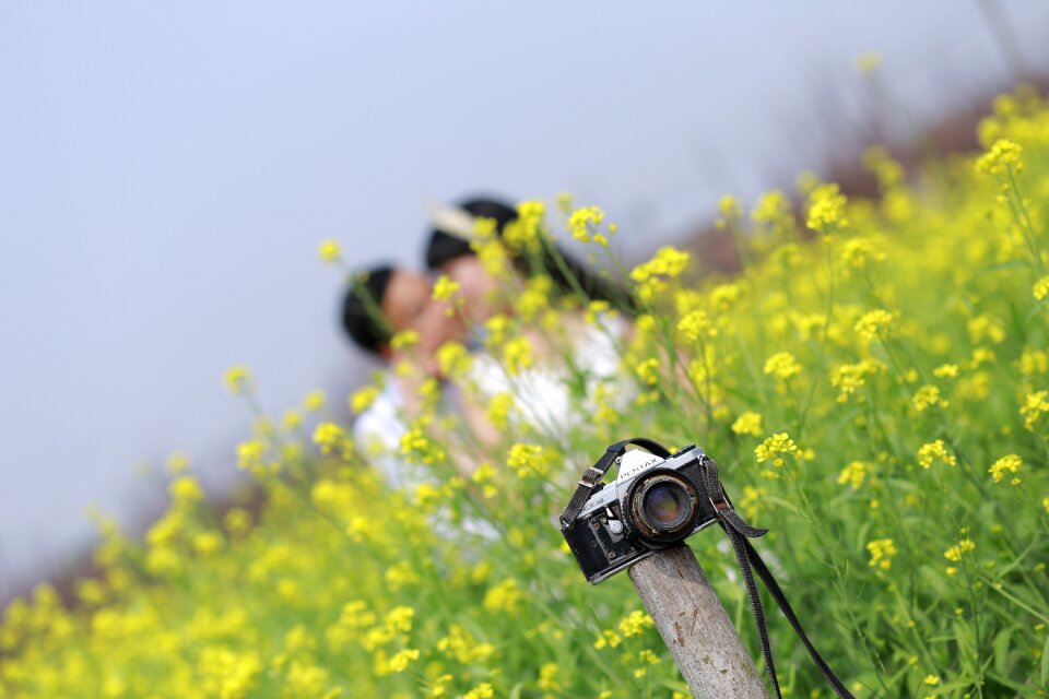 A couple flower field