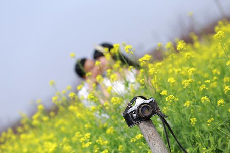 A couple flower field