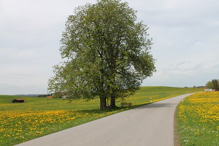 Mountain landscape allgäu alps panorama