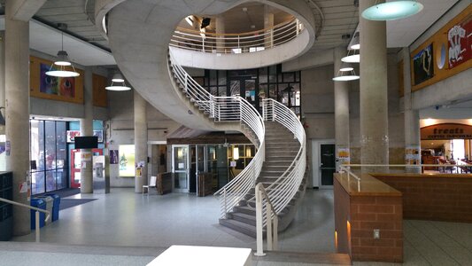 York university design