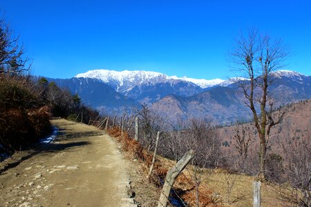 Way winter nature