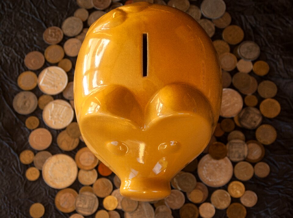 Pig currency savings