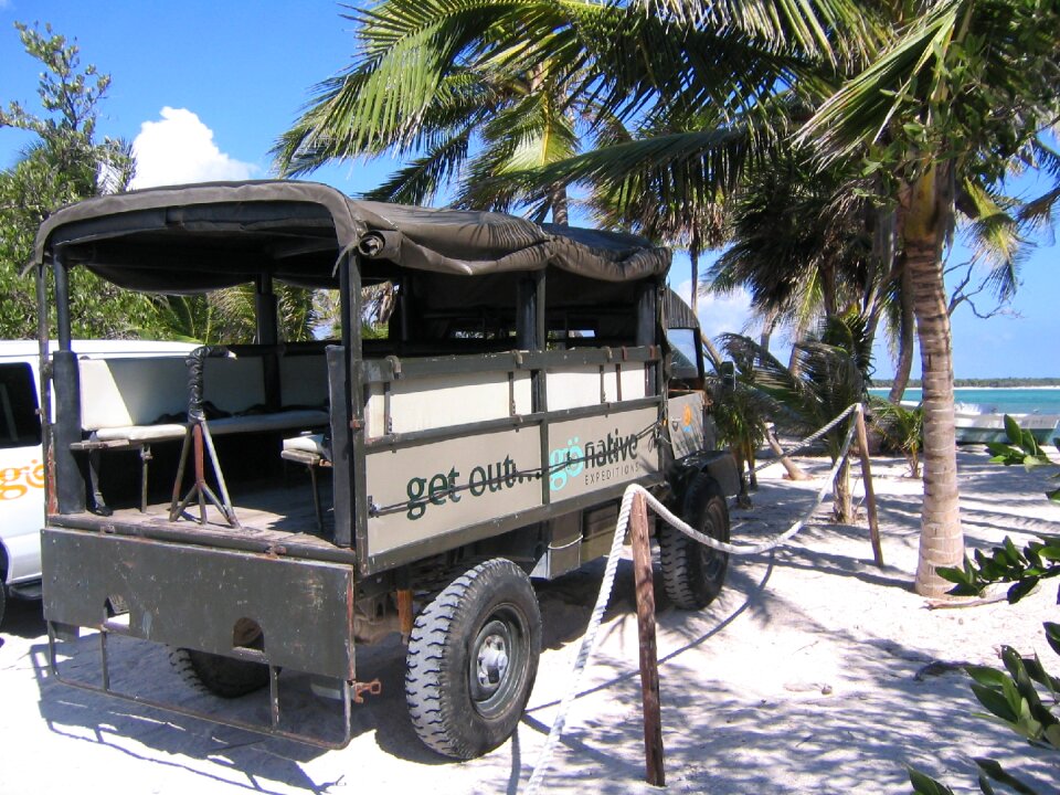 Palm trees auto unimog