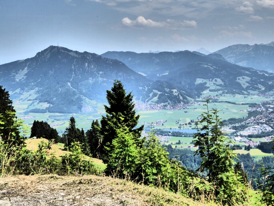 Greened alpine landscape