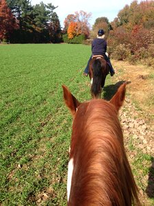 Horseback trail ride photo