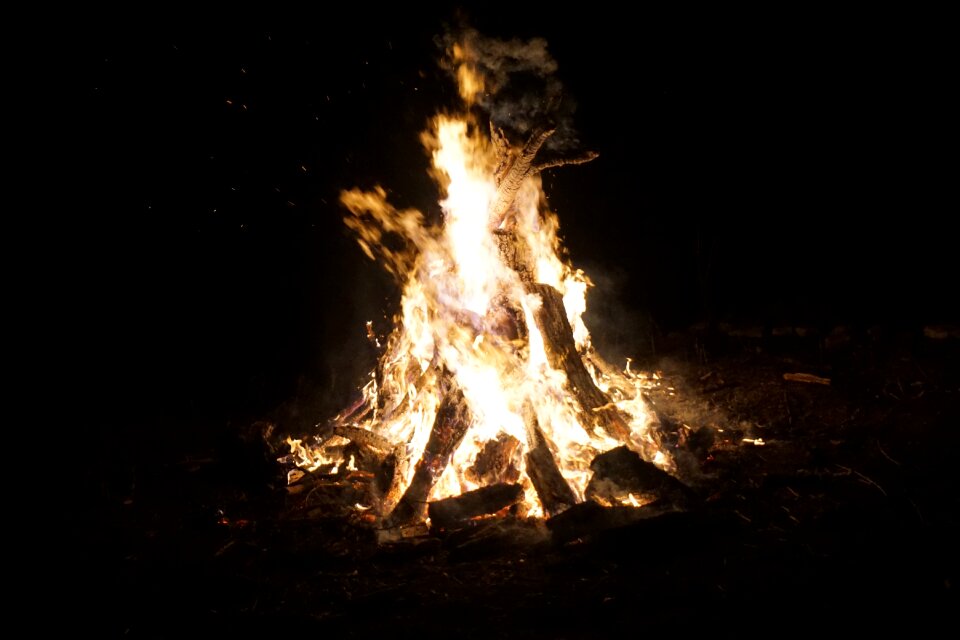 Bonfire outdoors forest