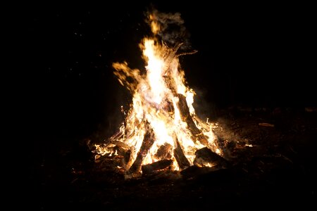 Bonfire outdoors forest photo