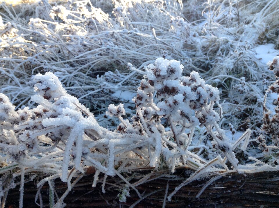 Landscape snow wintry