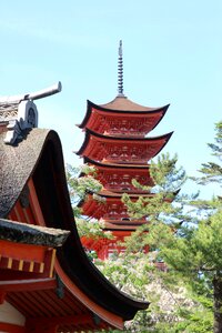 Temple pagodas buddhist photo