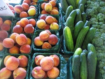 Farmer's market cucumbers local photo