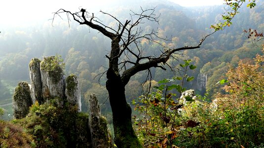Paternity national park rock autumn