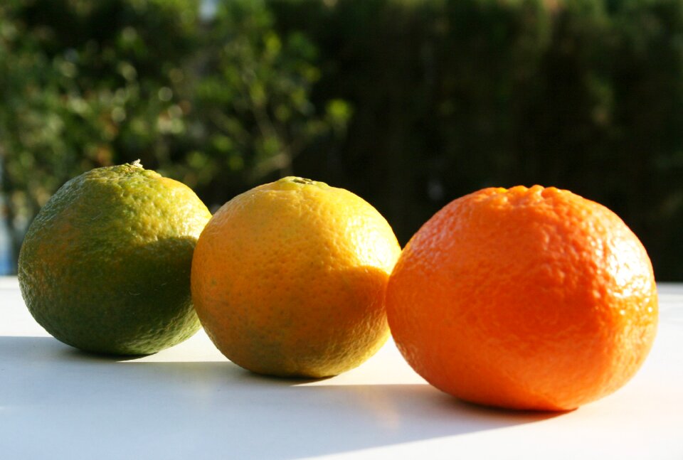 Fruit orange bless you