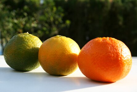 Fruit orange bless you photo