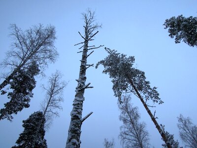 Finnish landscape nature photo