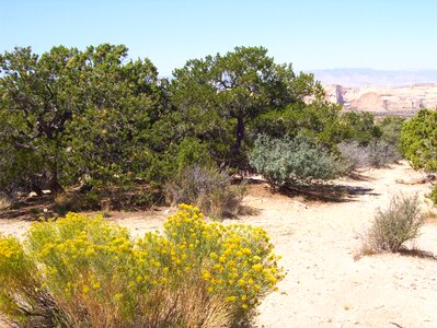 Nature rock america