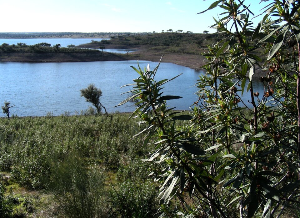 Rio alqueva natural
