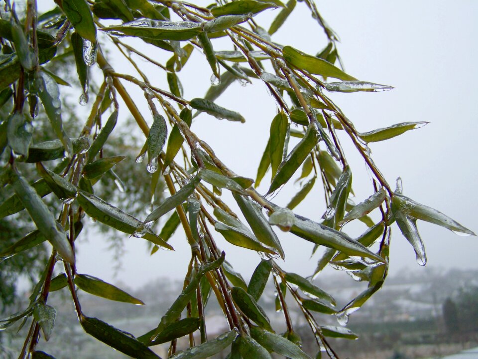 Sleet frozen rain winter