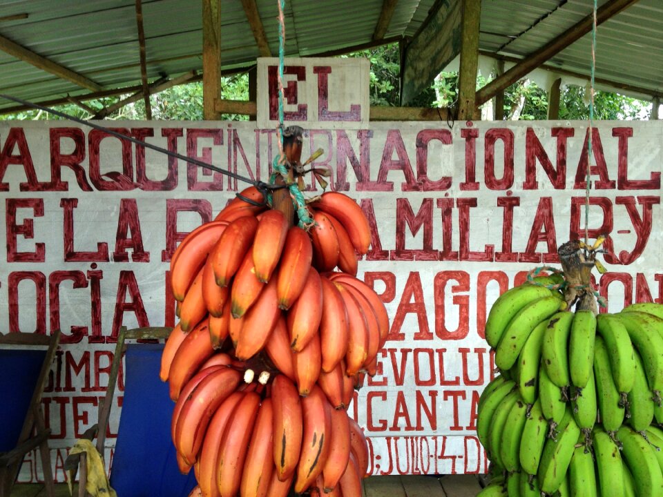 Spanish handwritten sign