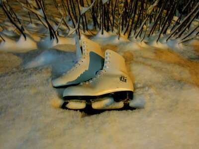 A couple of the land winter