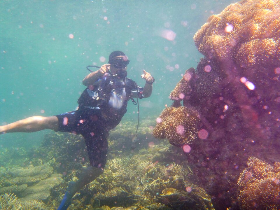 Beach outdoor snorkelling
