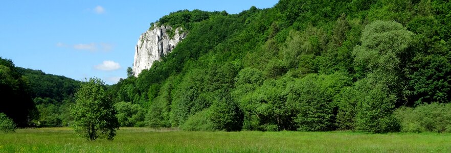Landscape nature spring