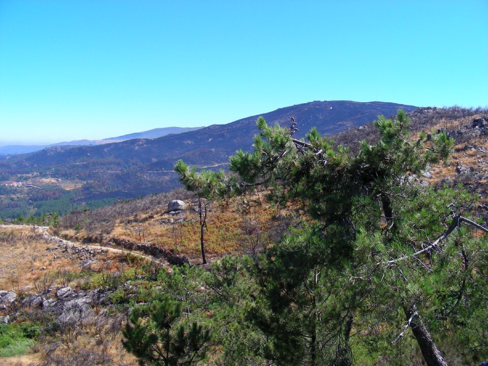 Mountain landscape vista