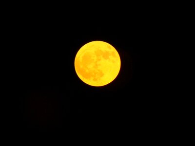 Amber moon harvest moon