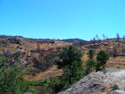 Mountain landscape vista