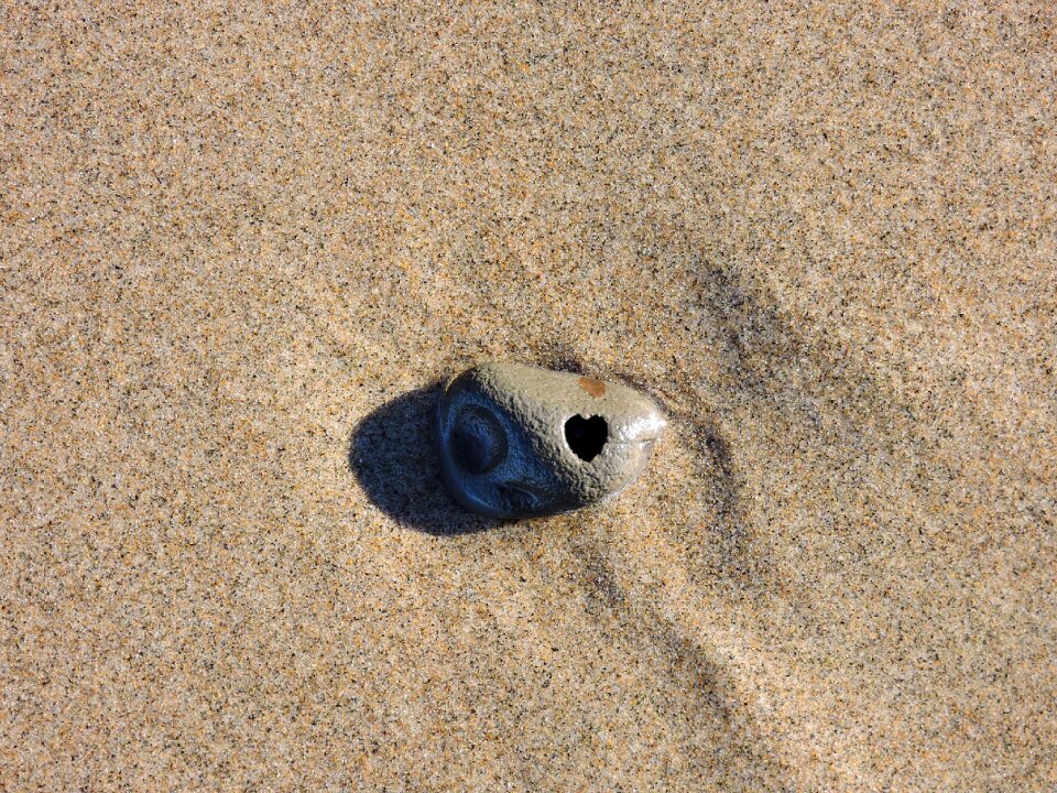 Beach coast
