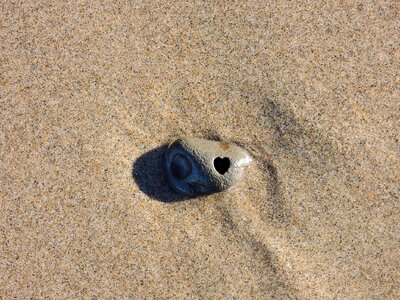 Beach coast