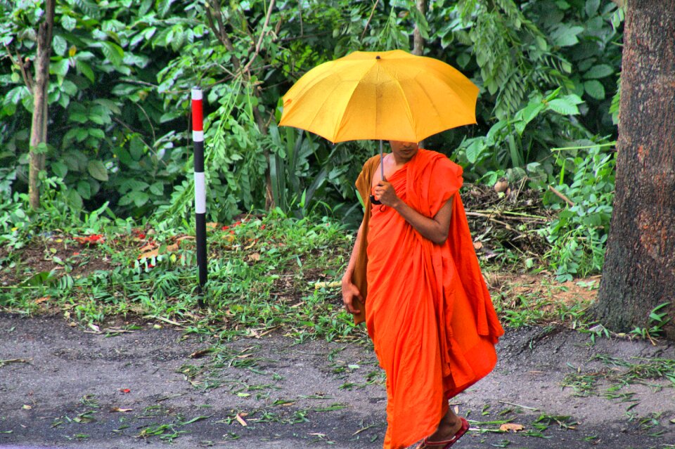 Sri lanka buddha religion