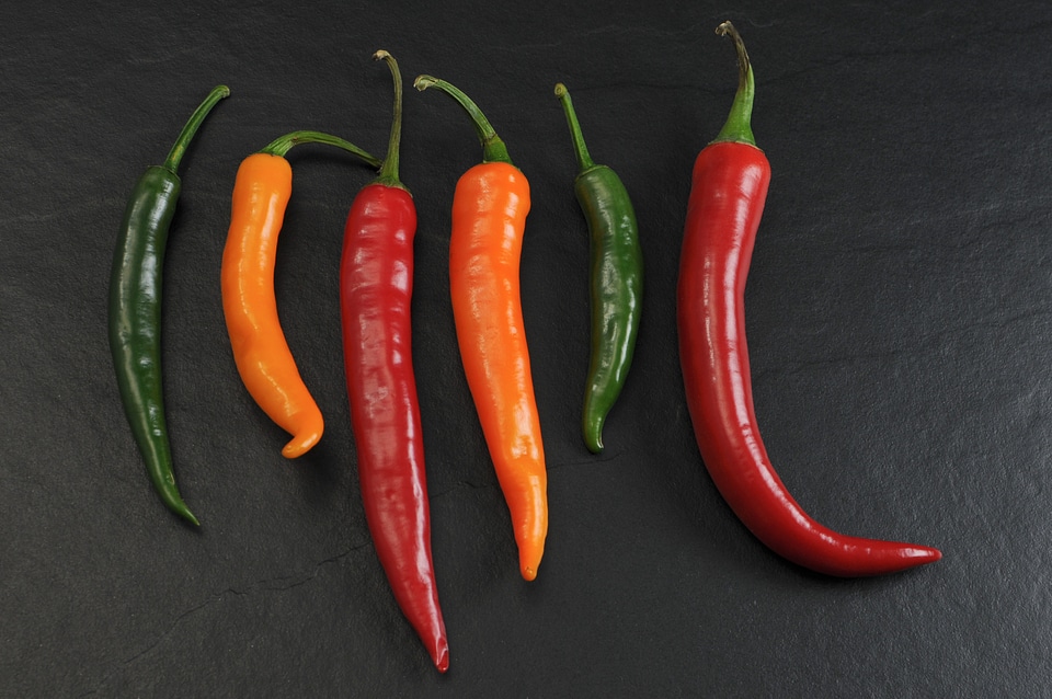 Sharp food season