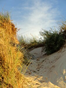 The baltic sea sand holidays photo