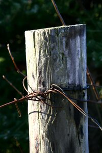 Fence worn rusty