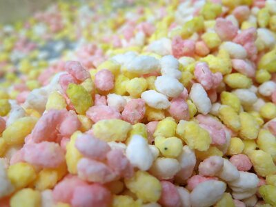 Candy kids suites