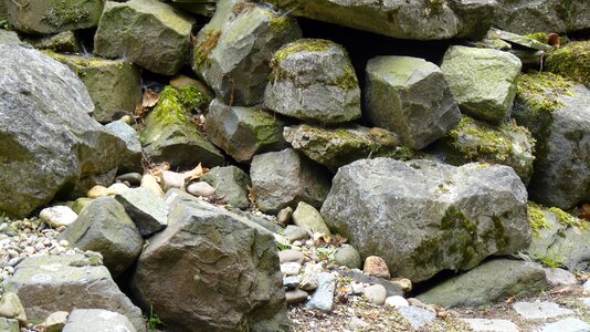 Pebble moss background