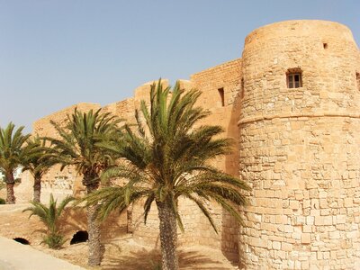 Palm trees stones heritage
