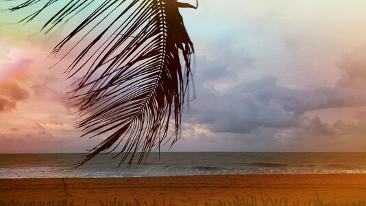 Sunset vacations water