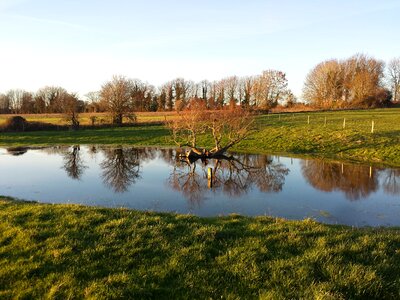 River tree landscape