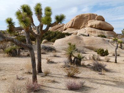 Usa california landscape photo