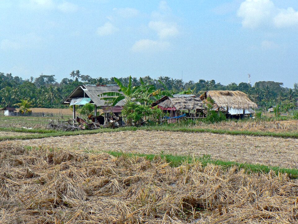 Landscape agricultural agriculture