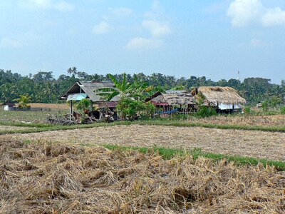 Landscape agricultural agriculture