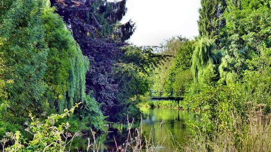 Mirroring river park