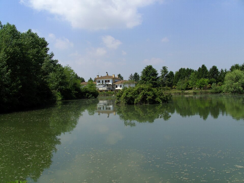 Fish pond italy pocenia