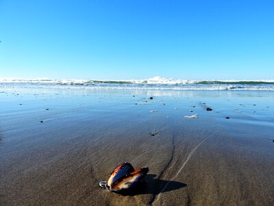 Oregon coast ocean