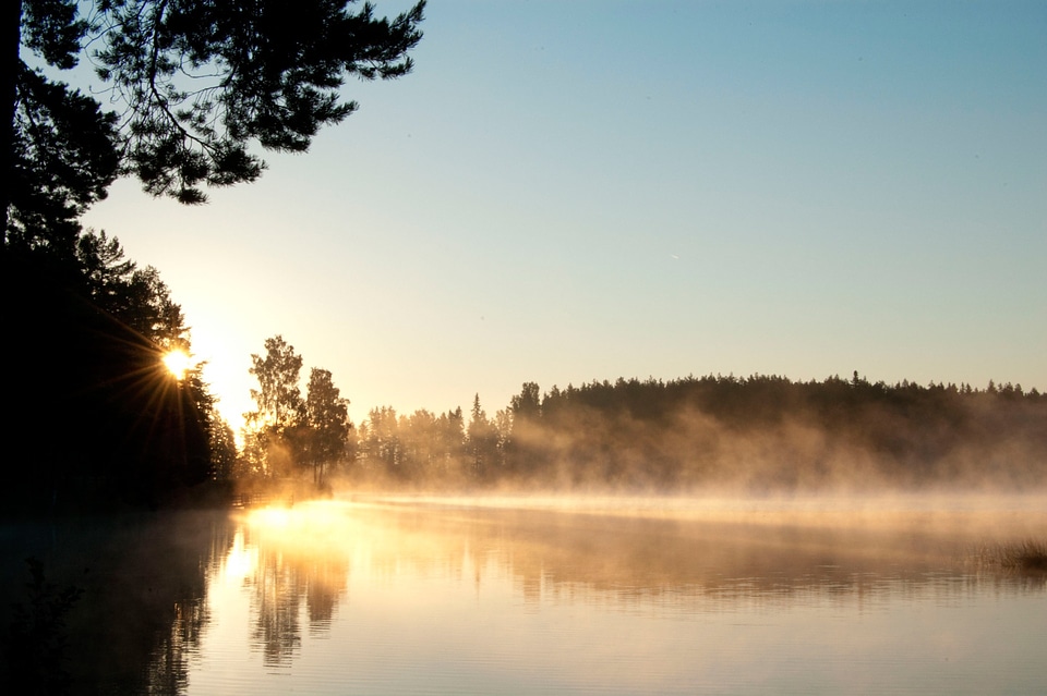 Sunrise dis morgendis