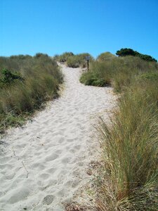 Pacific landscape sand path photo