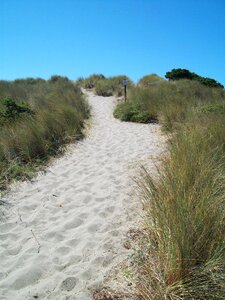 Pacific landscape sand path